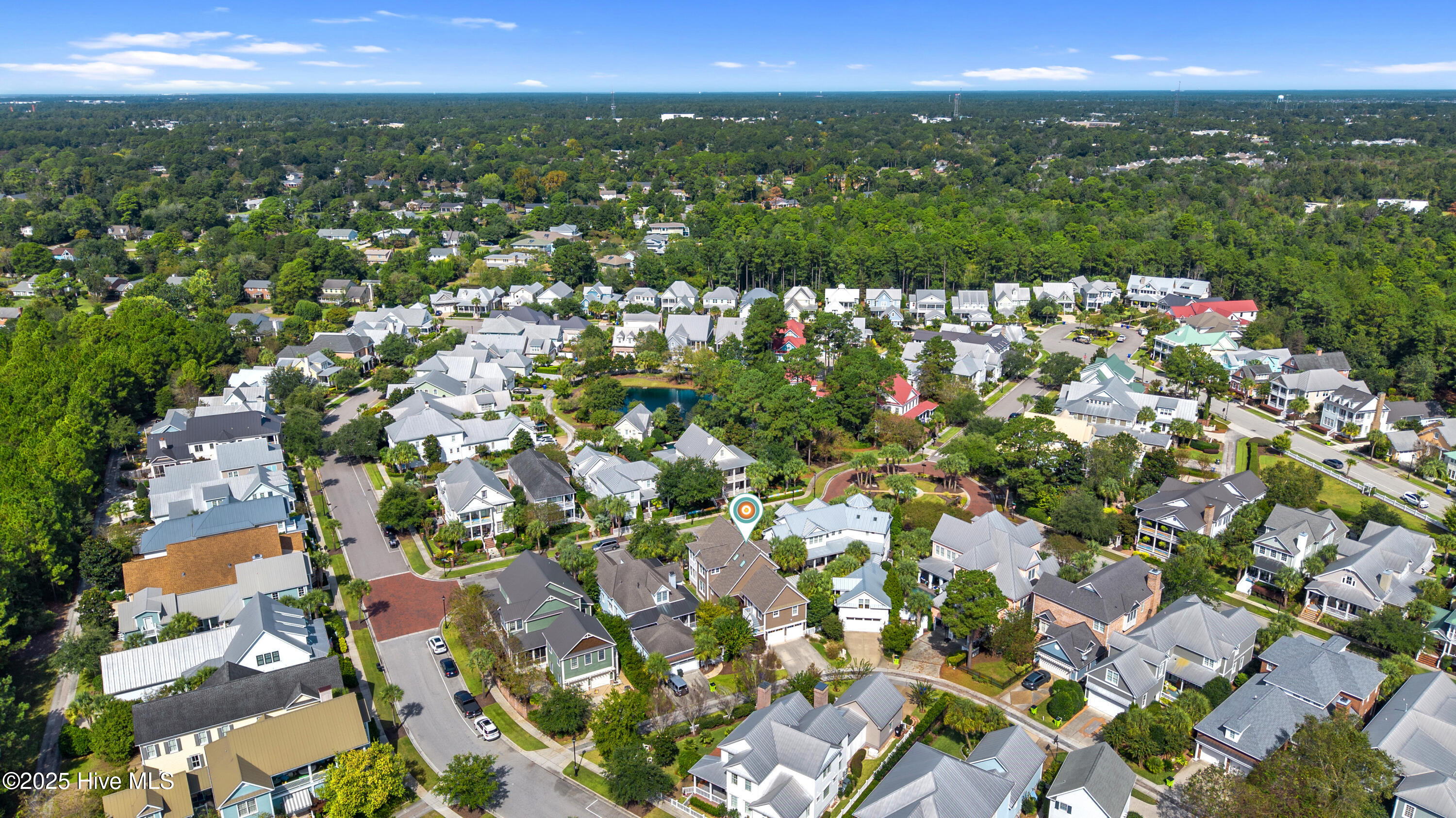 100541360 | Photo 63