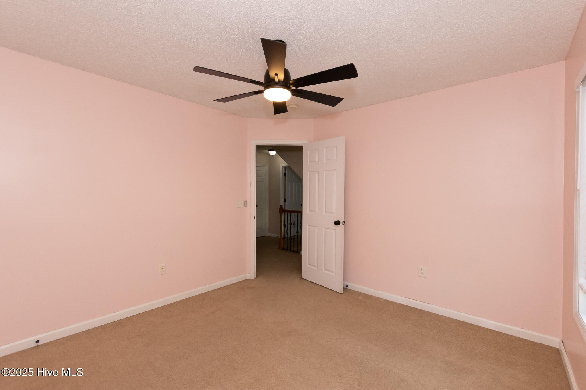 100554866 | Photo 41