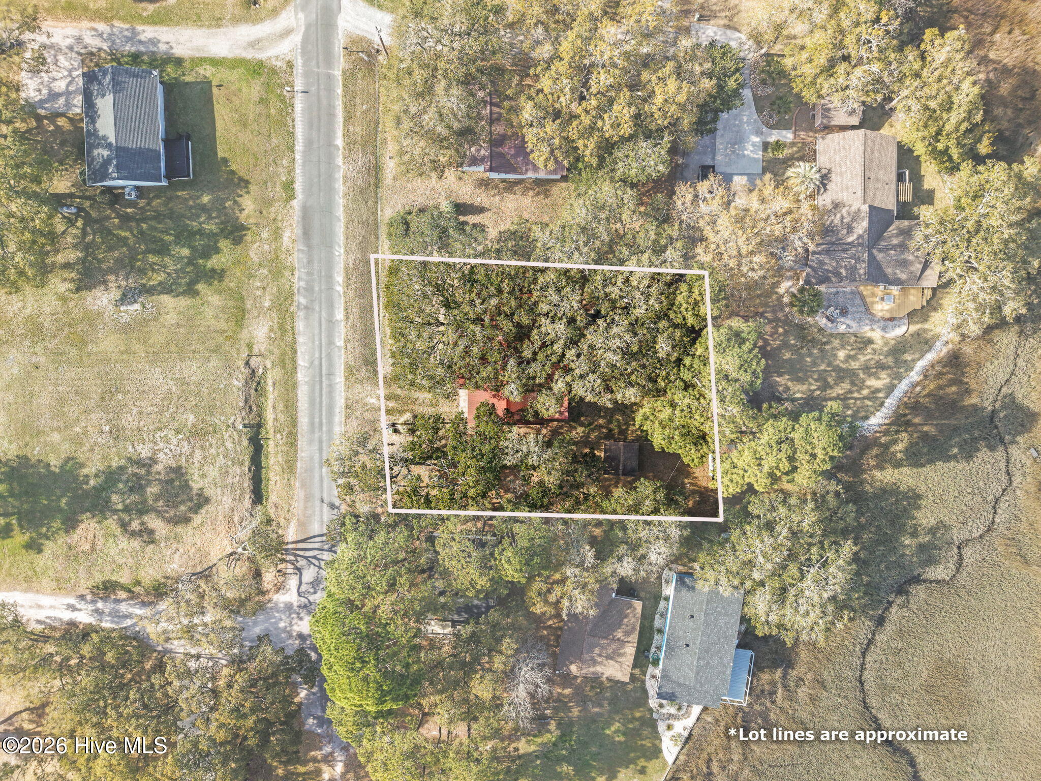 100562927 | Photo 30