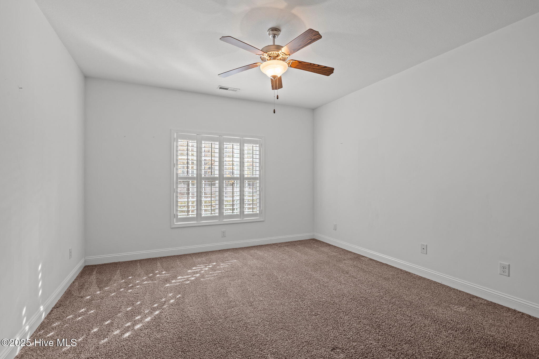 100544125 | Photo 24