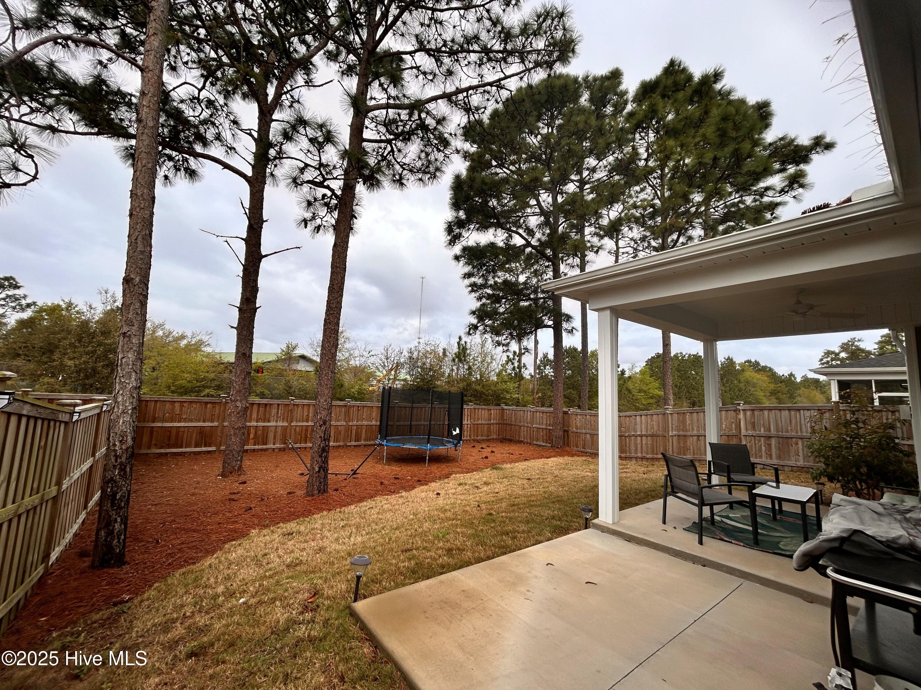 100492599 | Photo 32