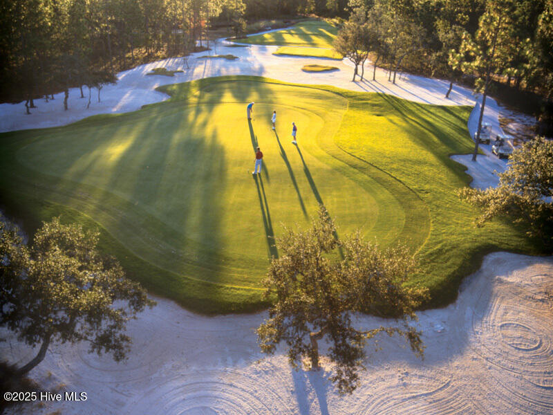 1.BigCatsGolfCourse.ORP