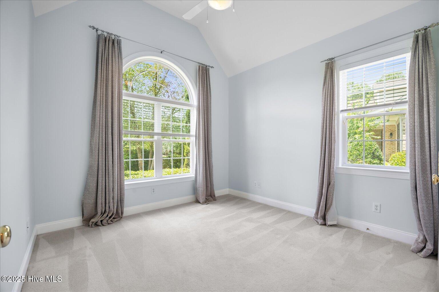 100521563 | Photo 27