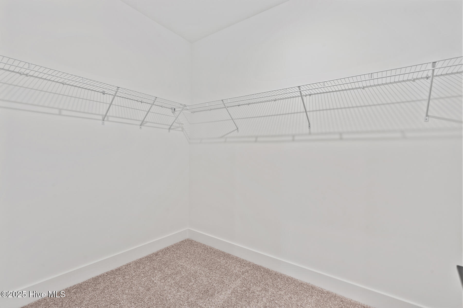 100535342 | Photo 12