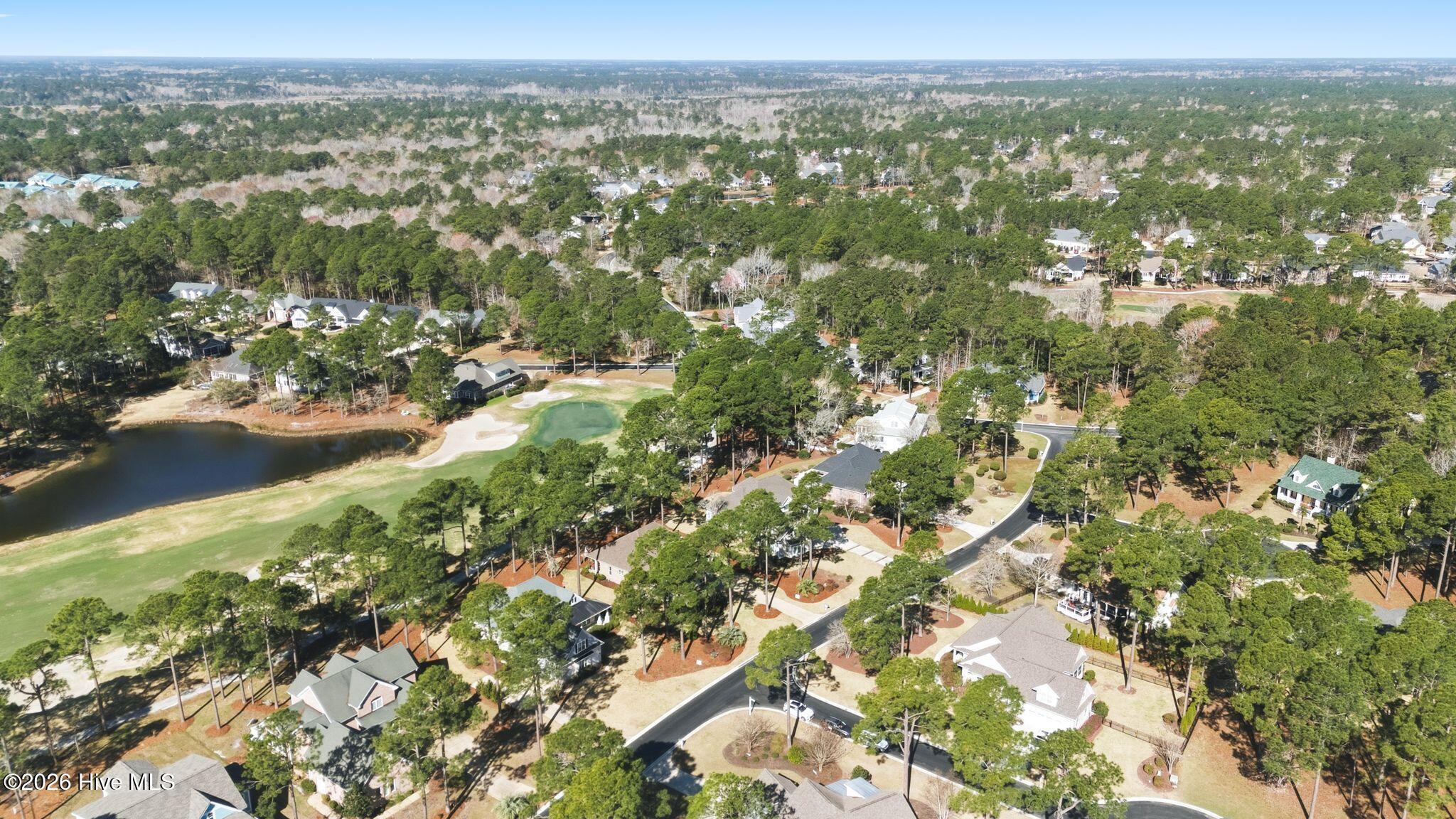 100564432 | Photo 98