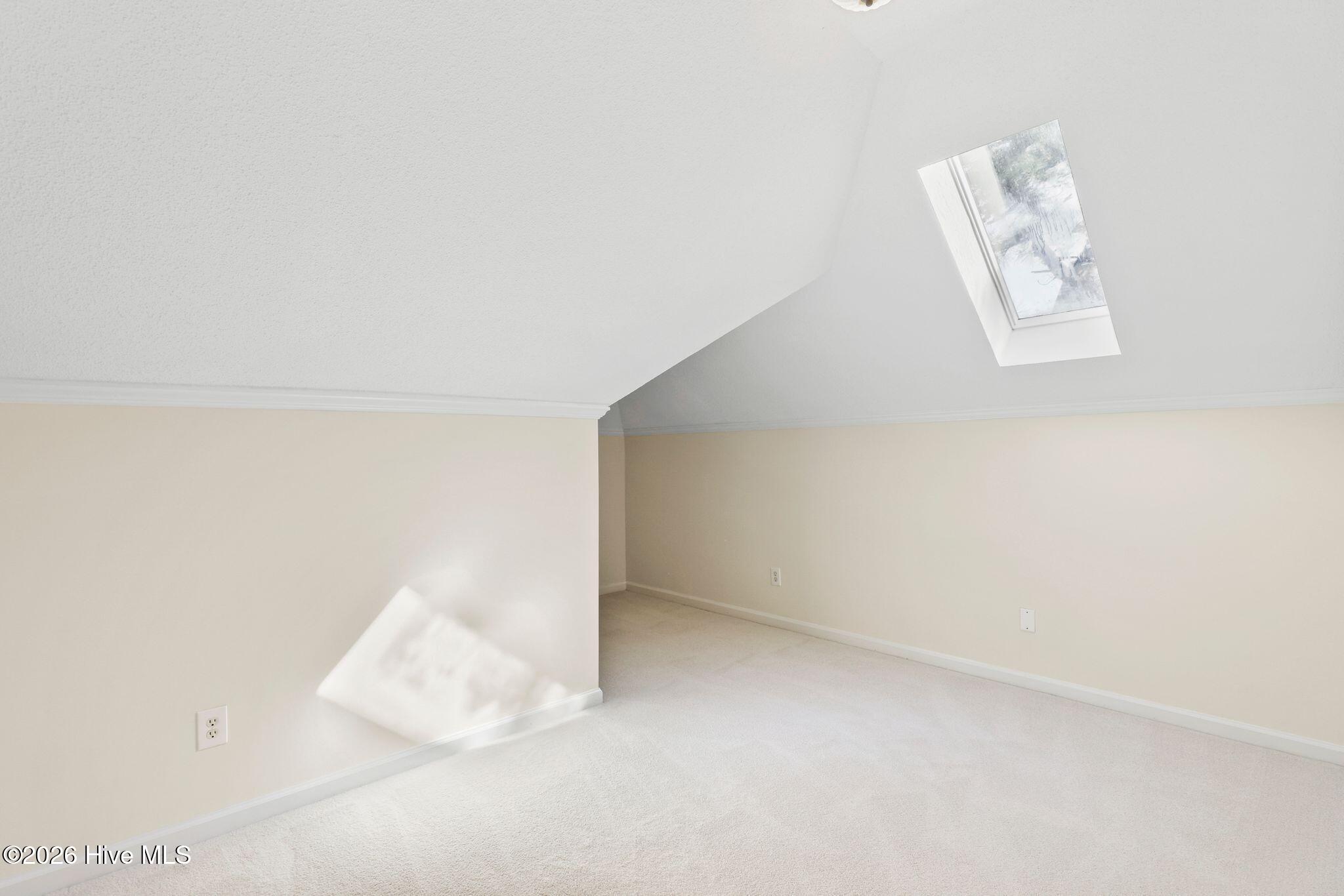 100558031 | Photo 41