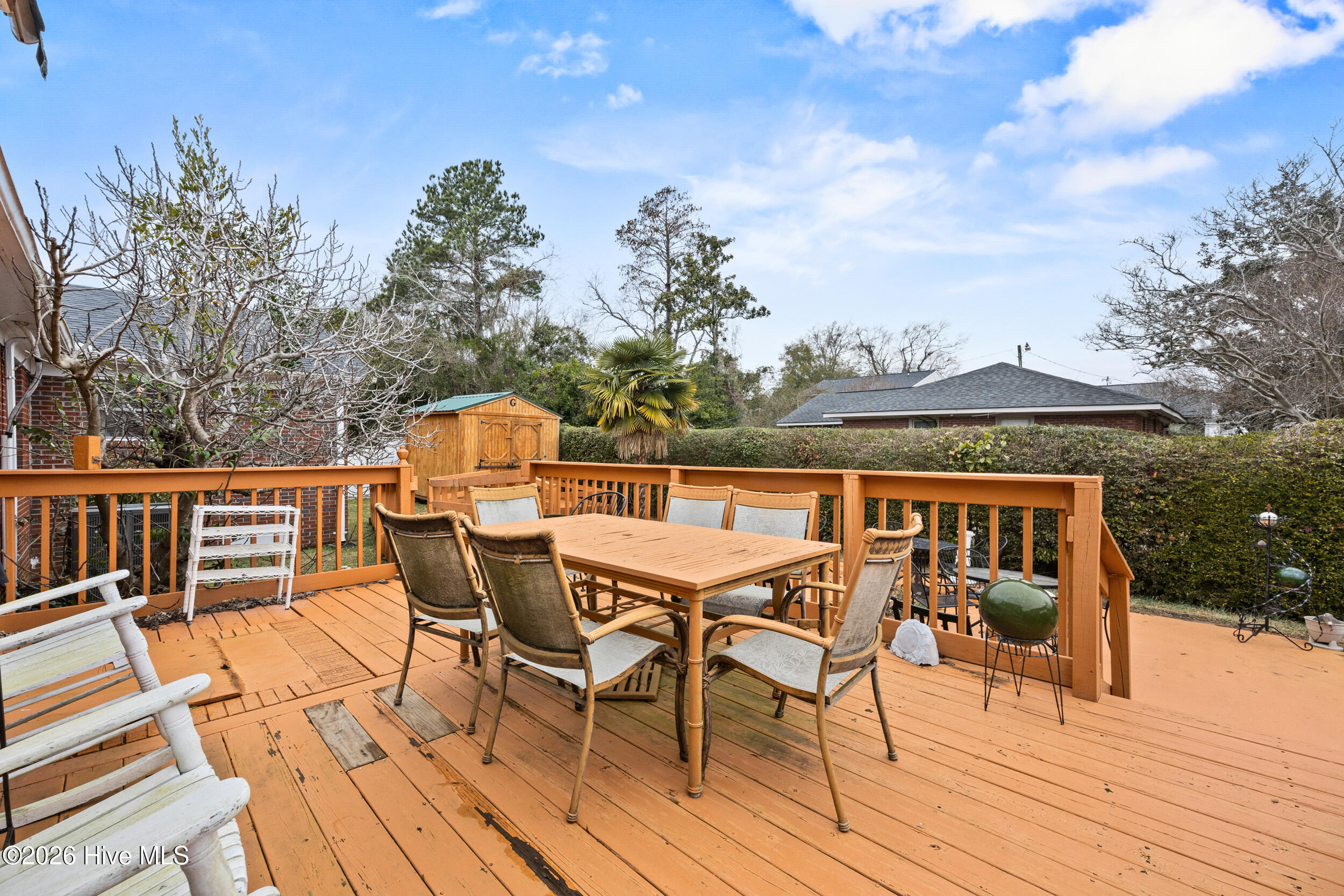 100554132 | Photo 35