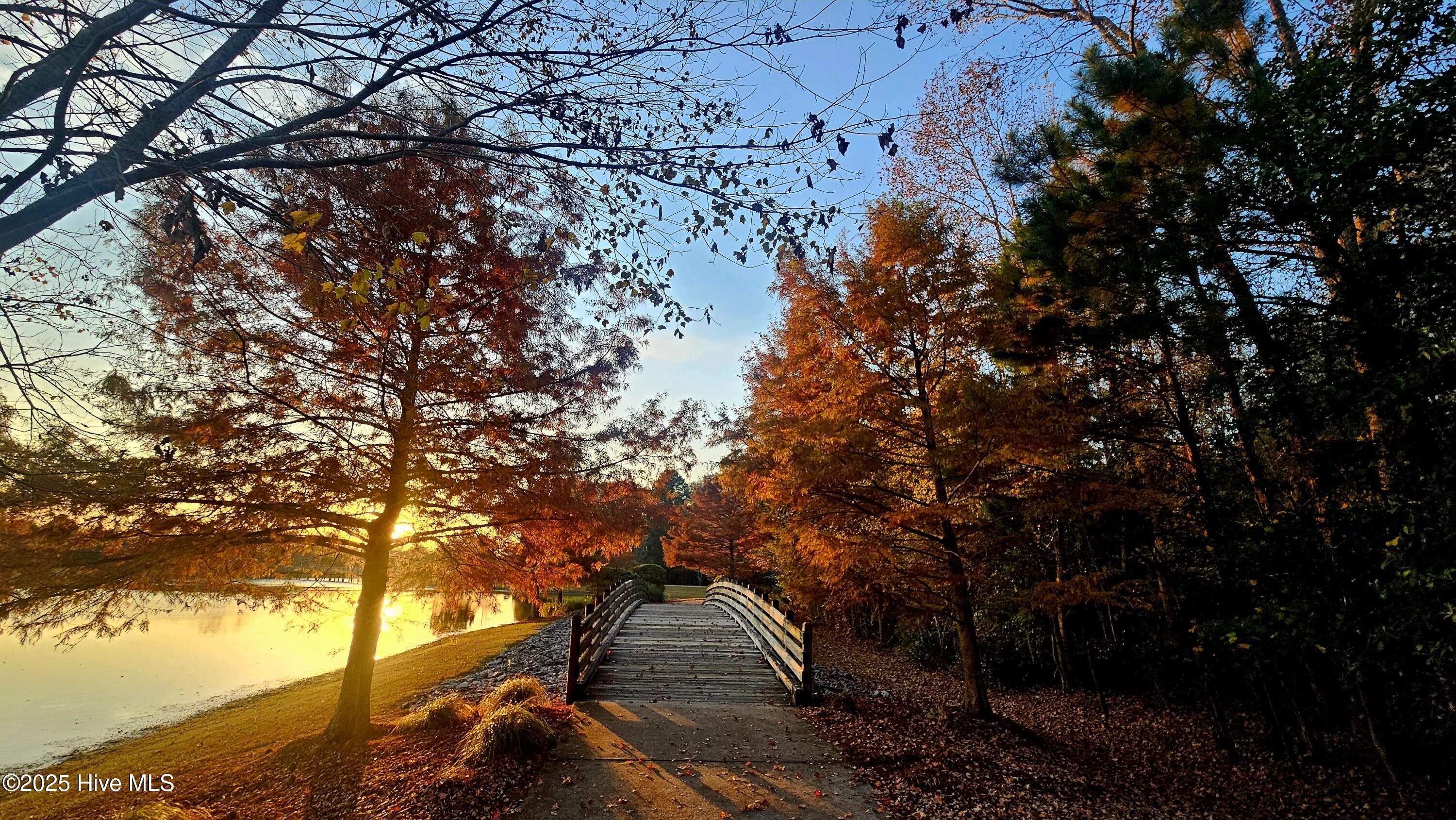 100545391 | Photo 51