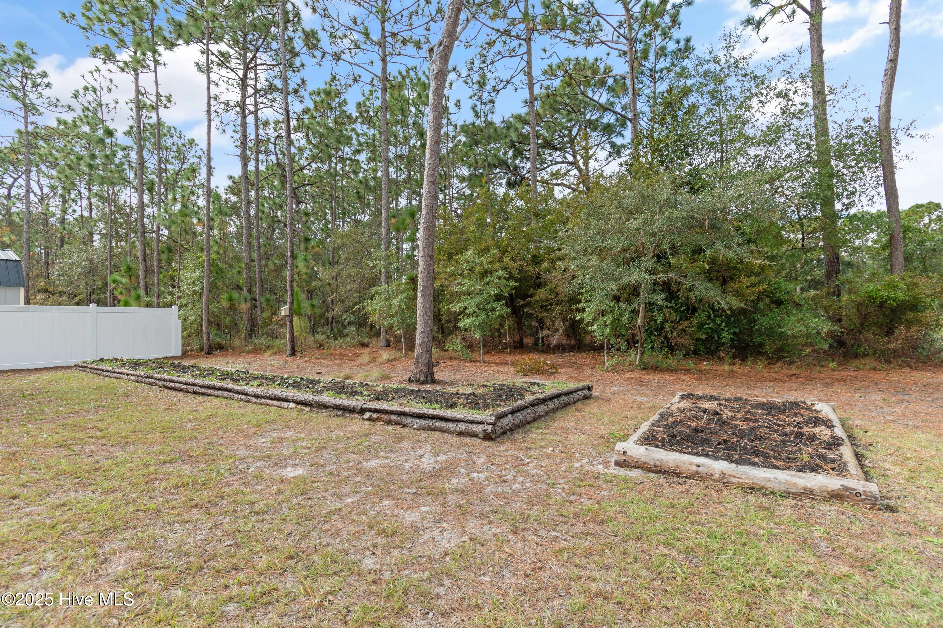 100539694 | Photo 32