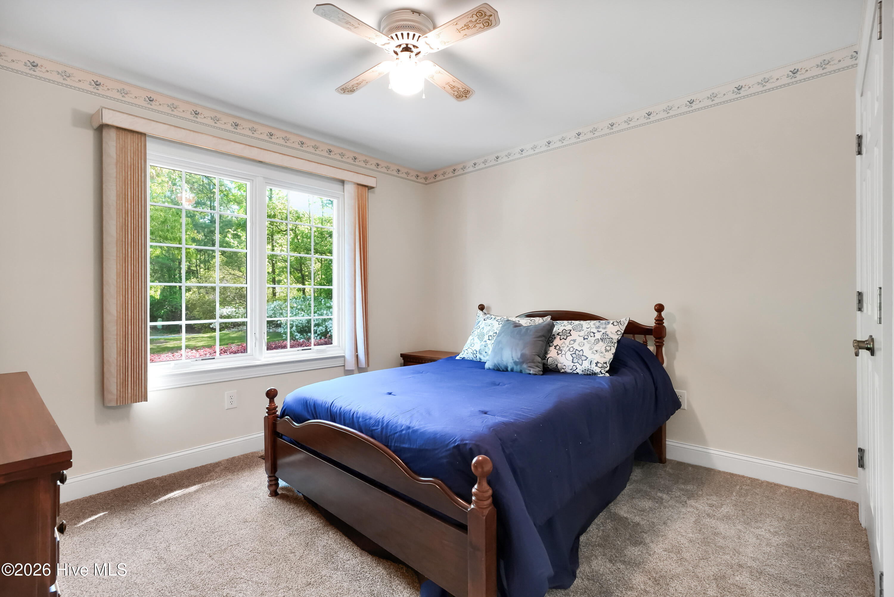 100567703 | Photo 26