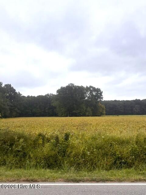 100606279 | Photo 2