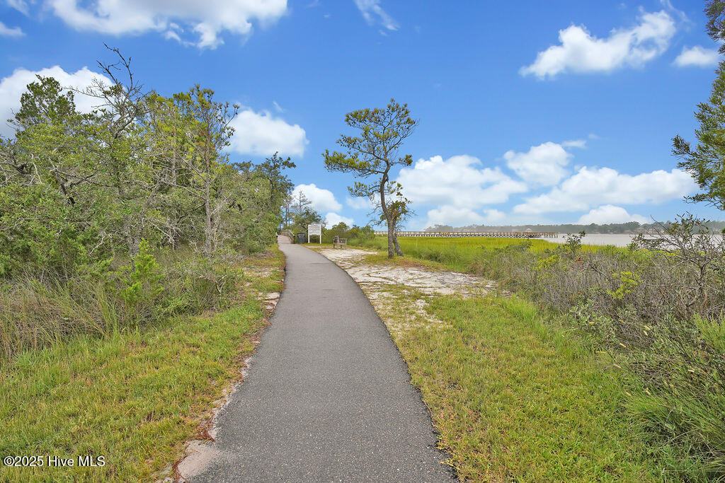 100544321 | Photo 15