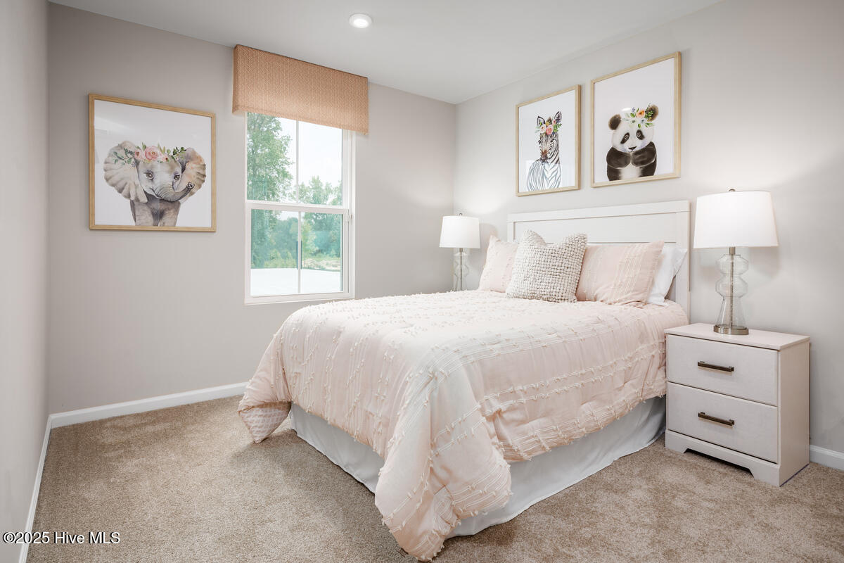 100525623 | Photo 12