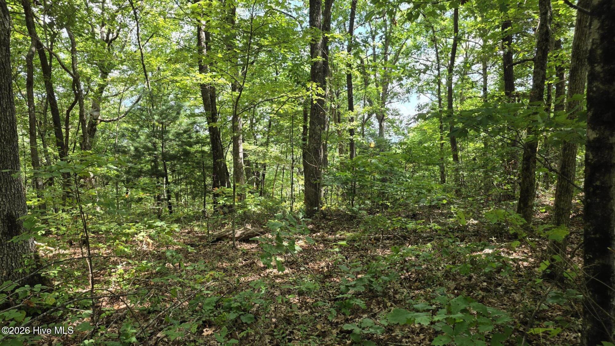 100607674 | Photo 2
