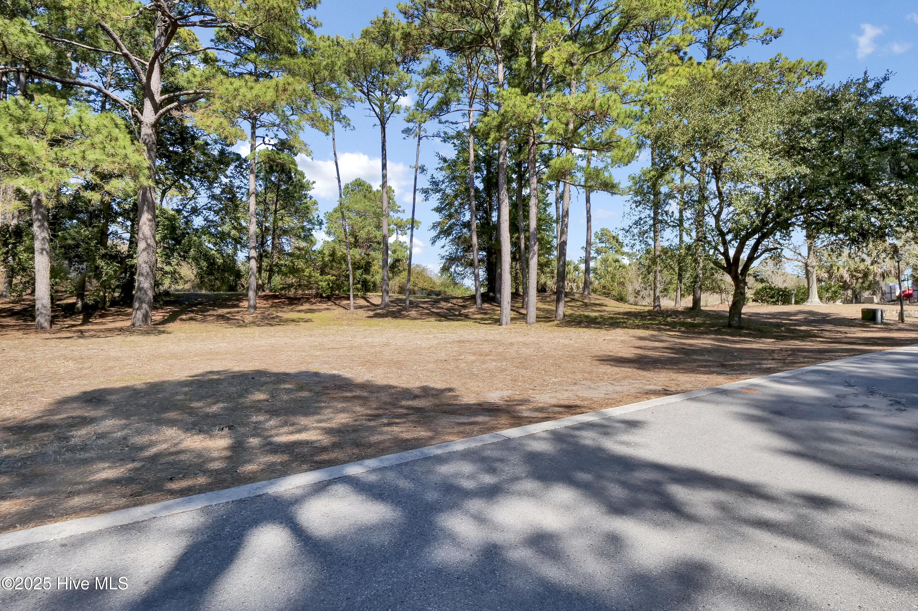 100473941 | Photo 26