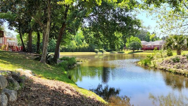 Pond