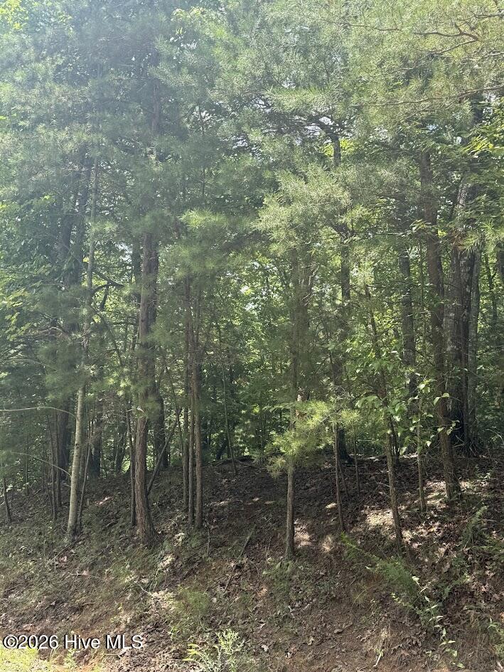 Exterior photo of Lot #46 Pine Cove Lane, Murphy, NC 28906. MLS: 100596949