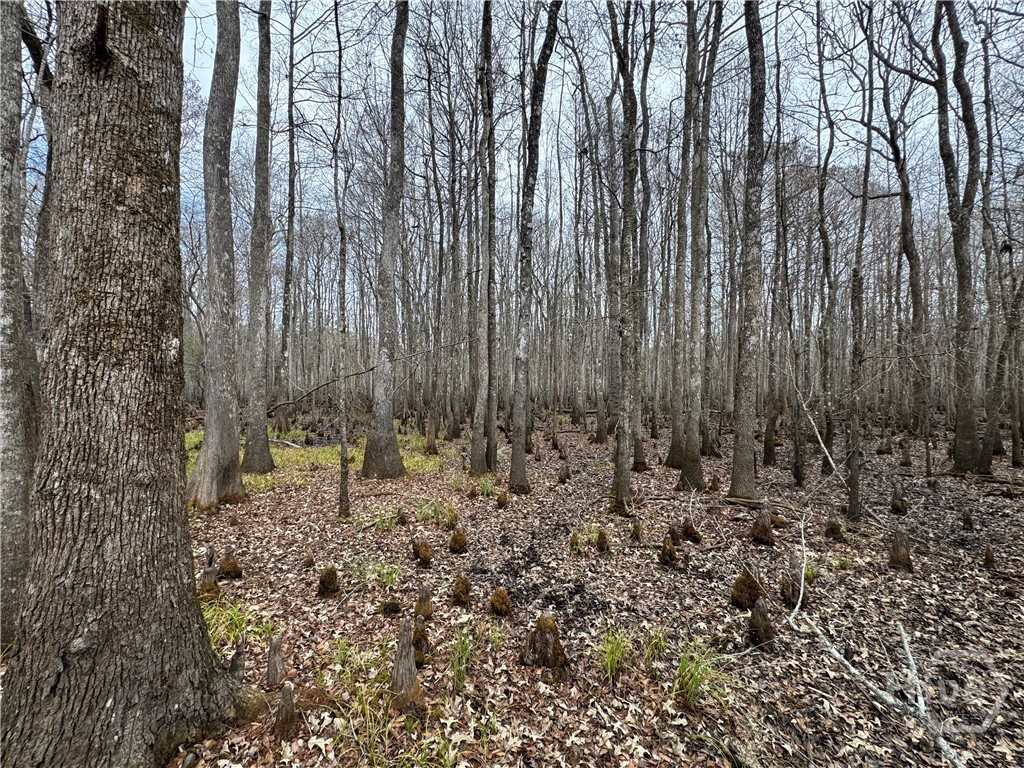 Homes for sale in Bloomingdale, GA | 0 Old Hwy 204 Hwy, Bloomingdale, GA 31302 | MLS# SA339548