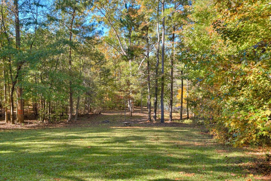 1147 Maiden Cane Way, Lincolnton, GA 30817 Listing Photo  14