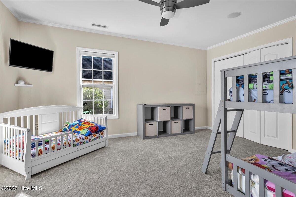 100546771 | Photo 26