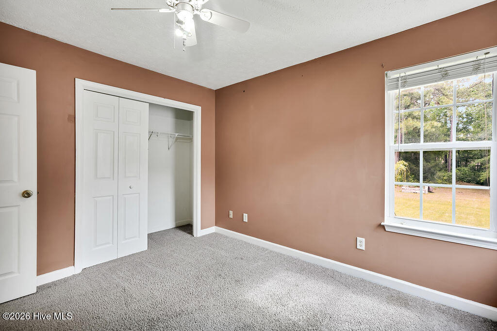 100570666 | Photo 23