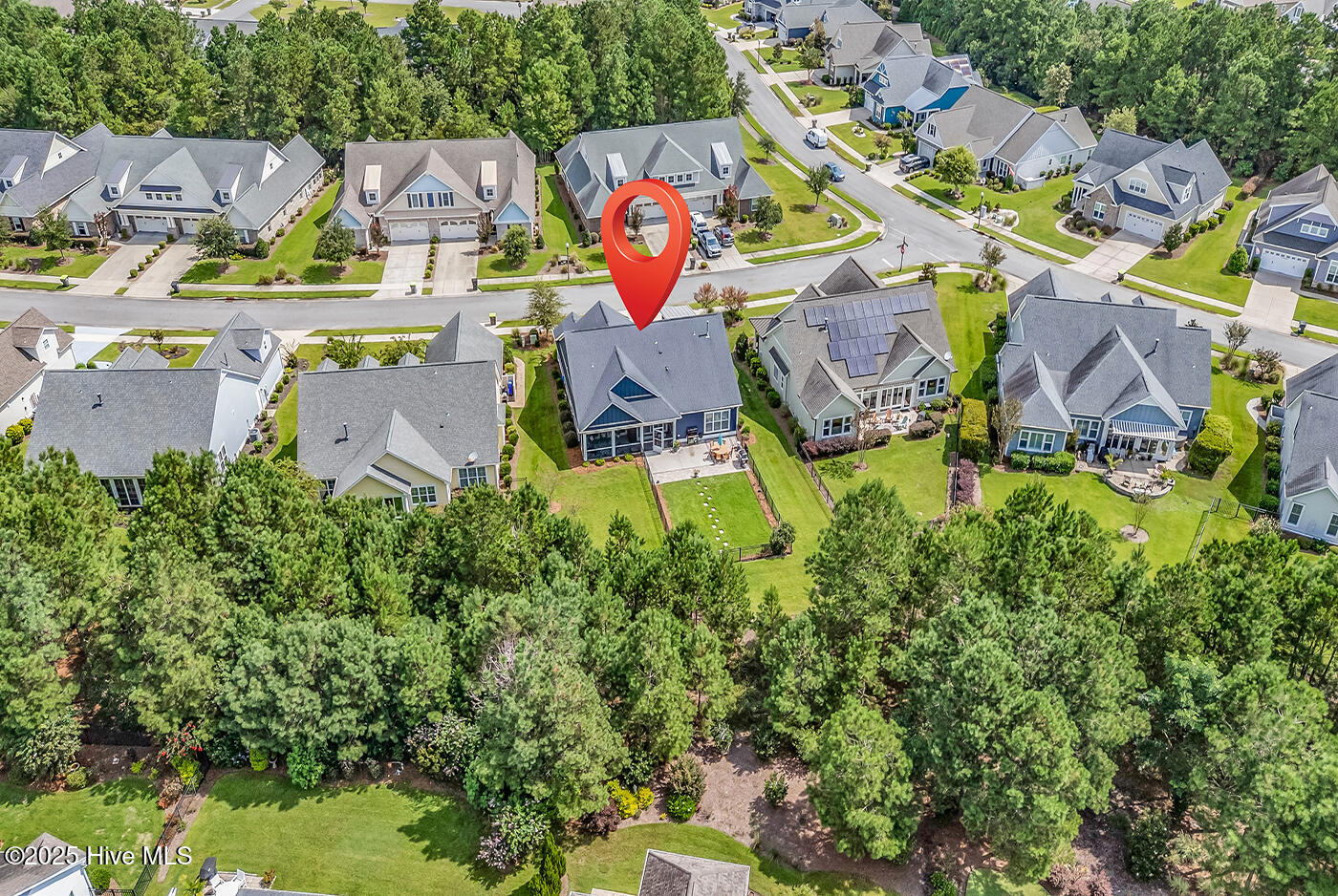 100529992 | Photo 43