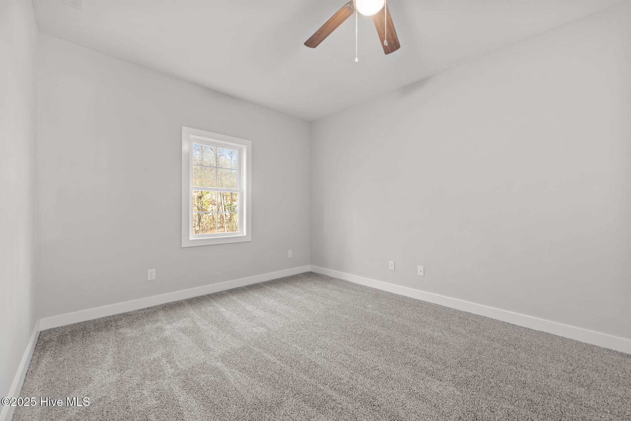 100542869 | Photo 30