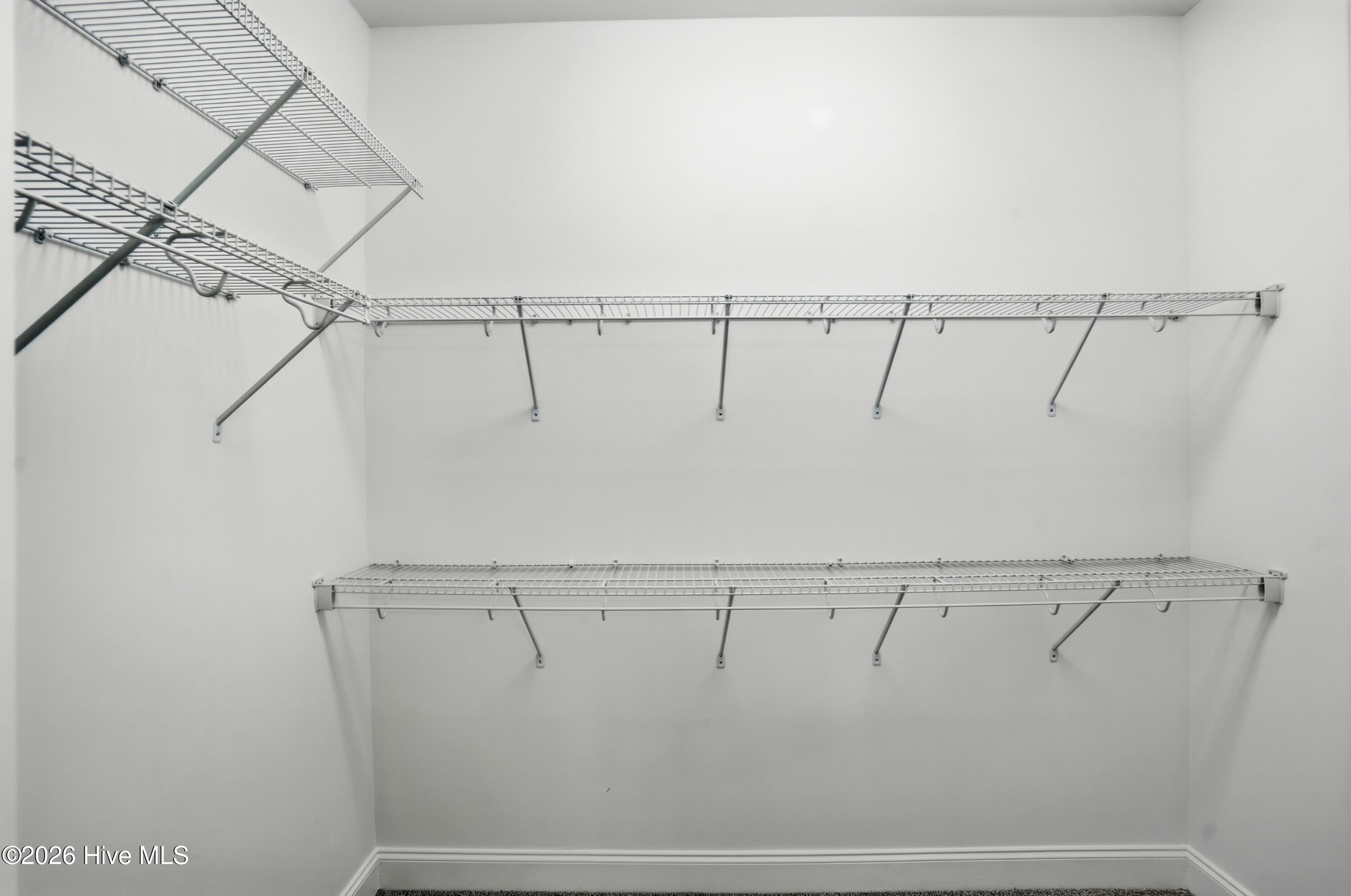 100552828 | Photo 30