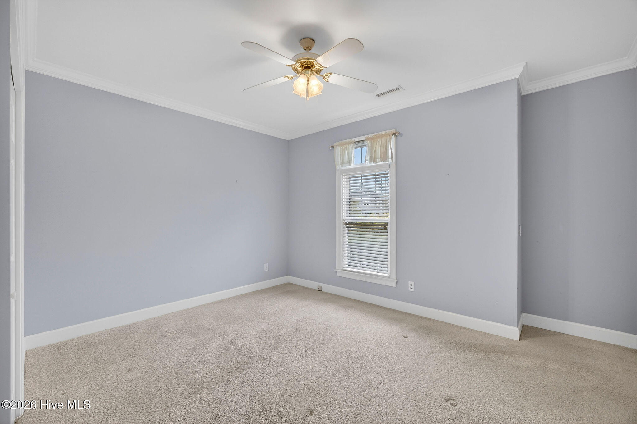 100551519 | Photo 31