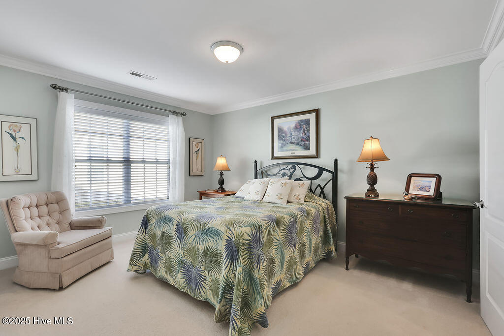 100544597 | Photo 23