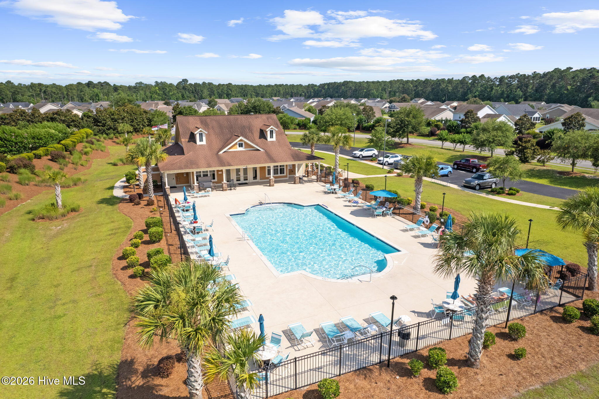 100565577 | Photo 58