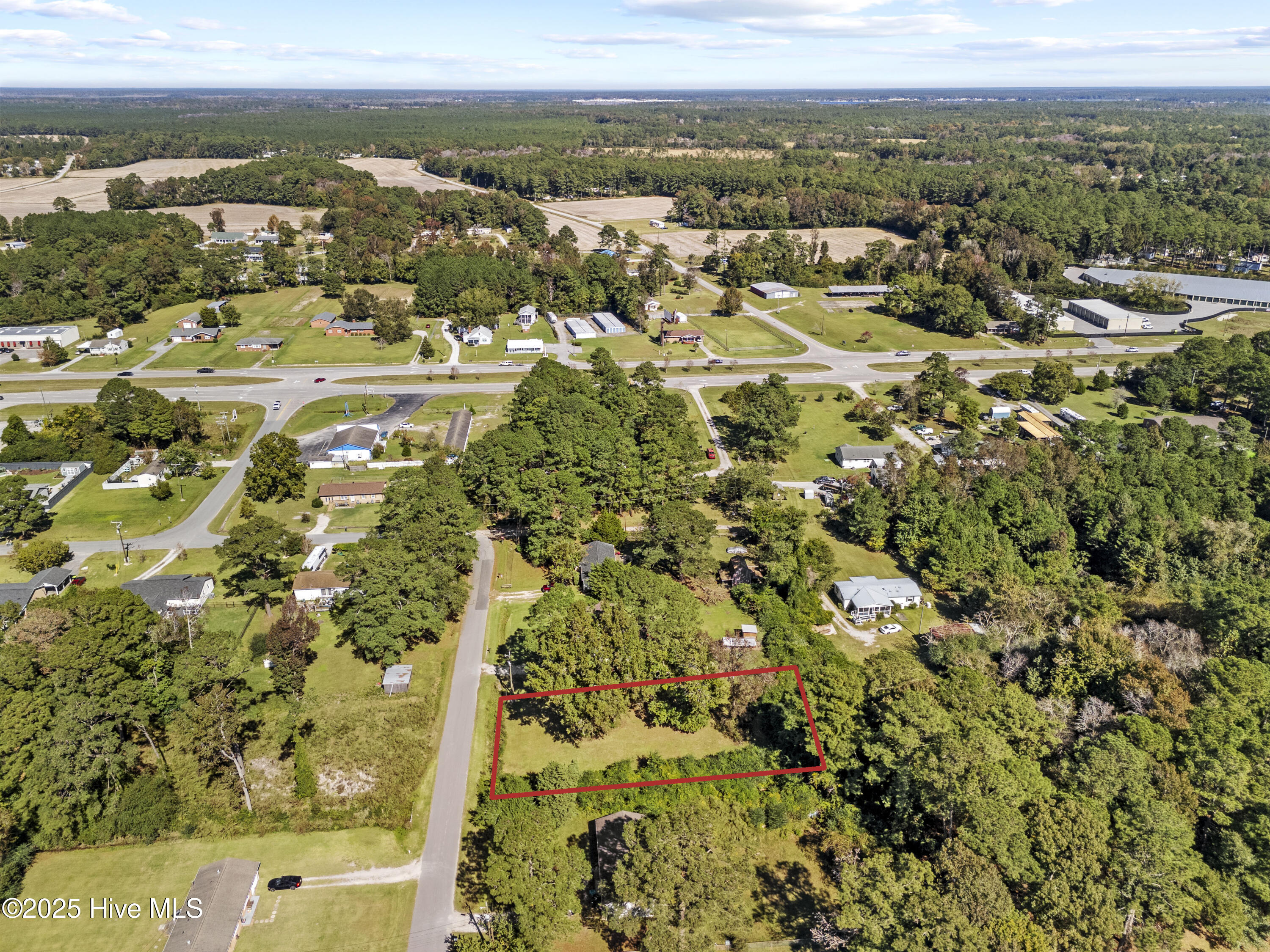 100541146 | Photo 11