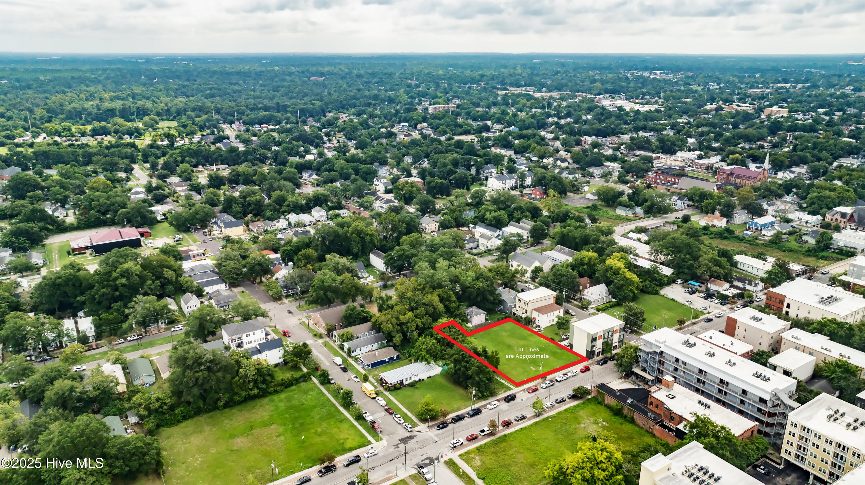 100524258 | Photo 31