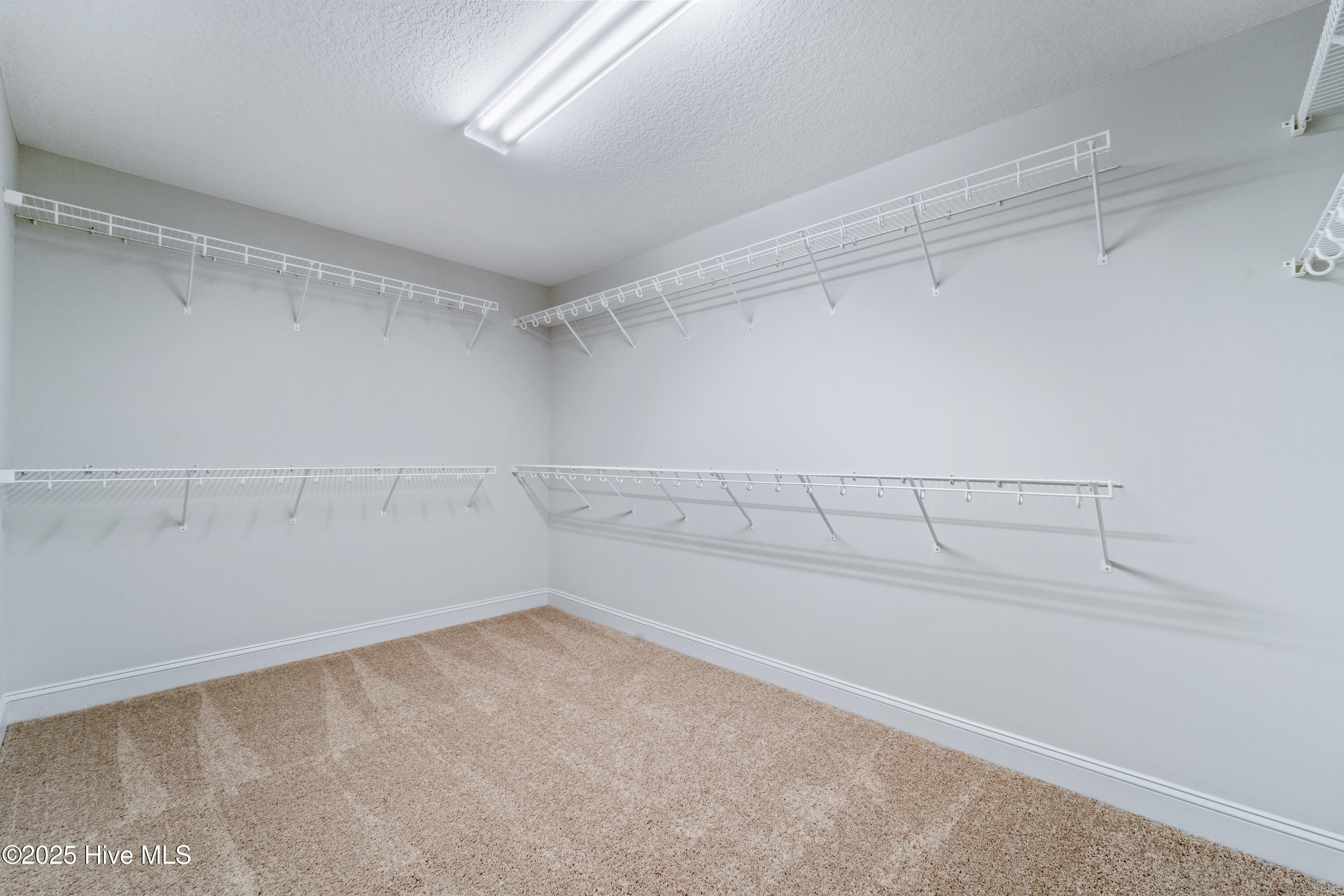 100493444 | Photo 32