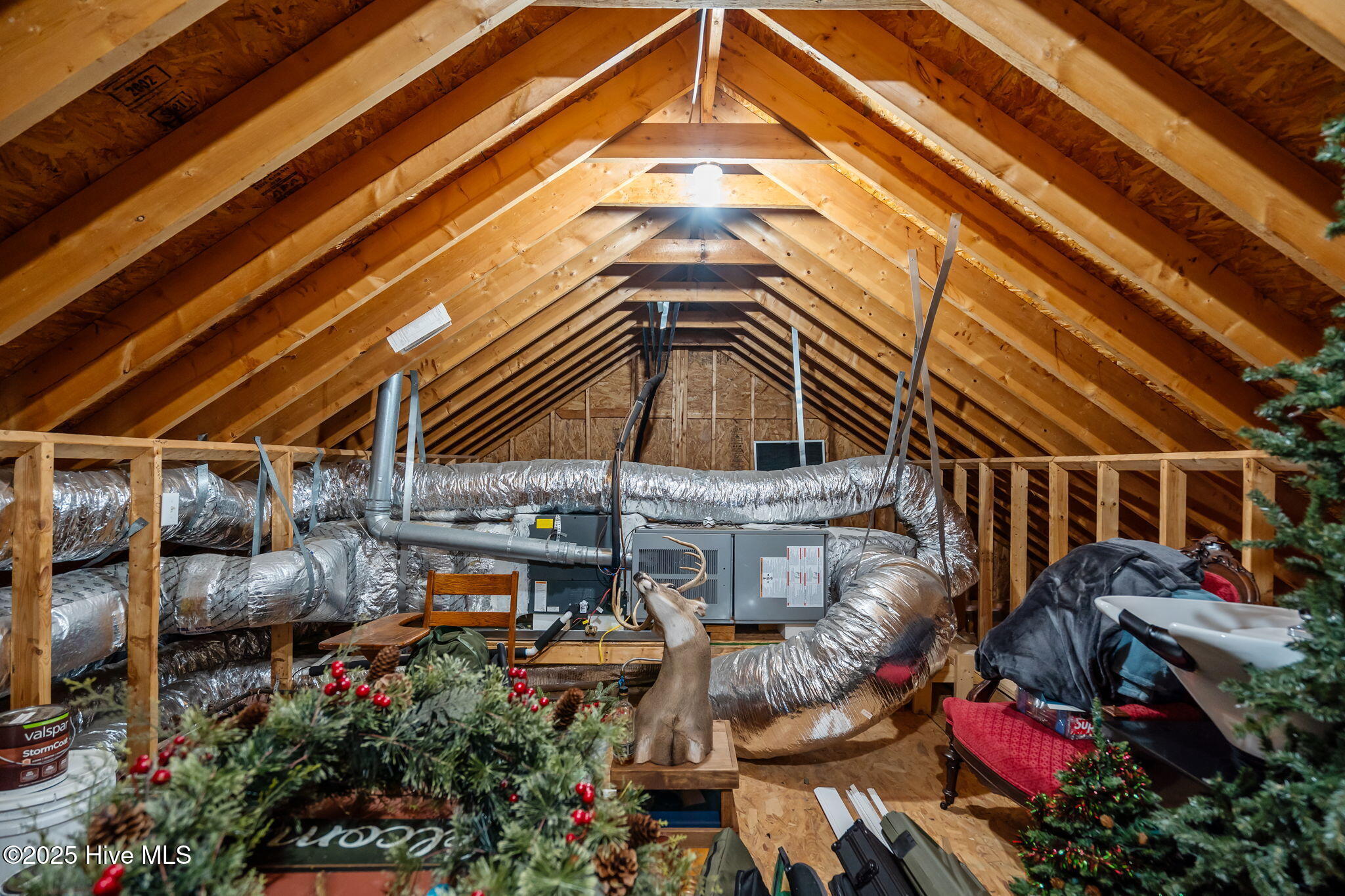 100536417 | Photo 47