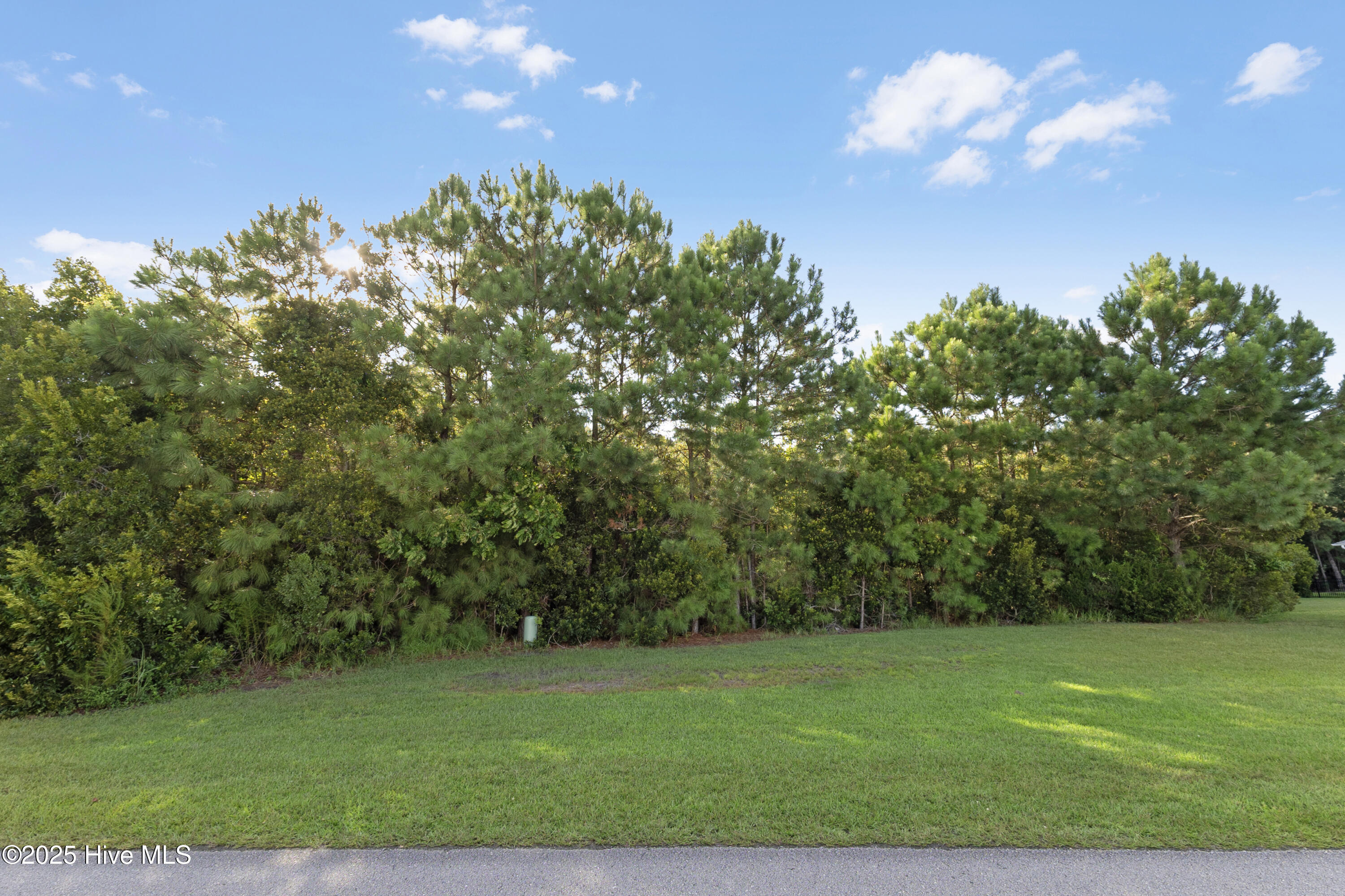 100523400 | Photo 18