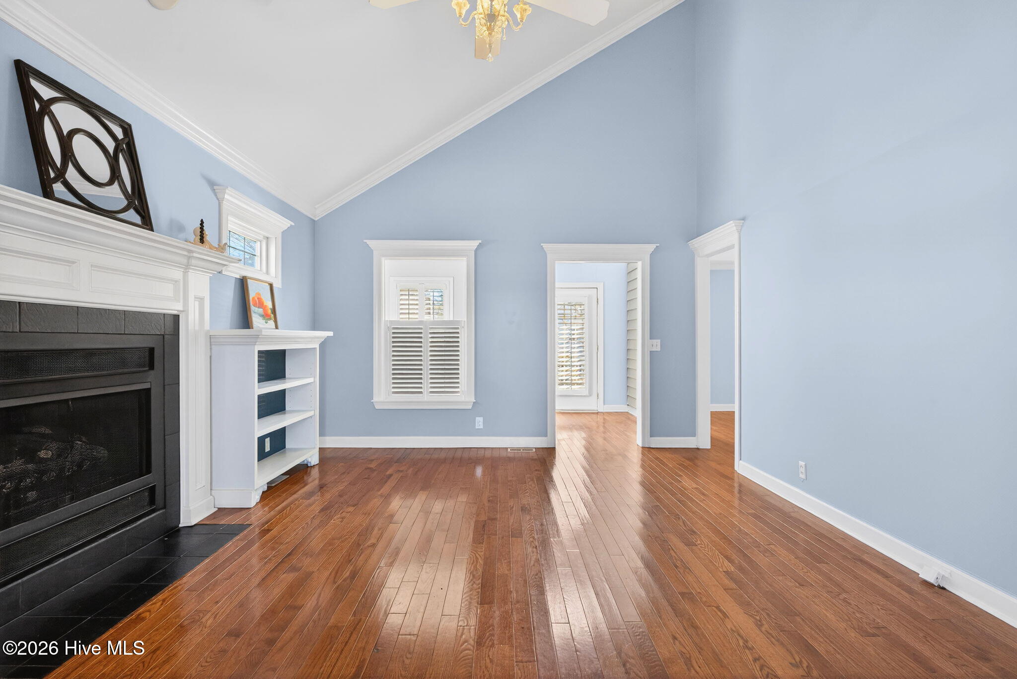 100558194 | Photo 16