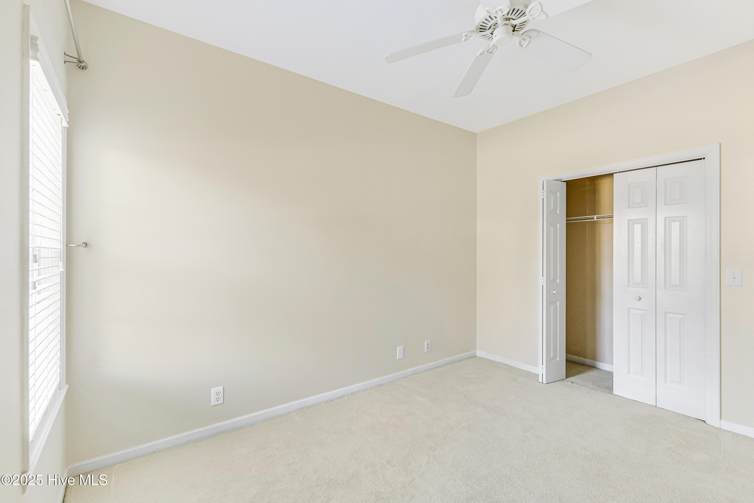 100540524 | Photo 17