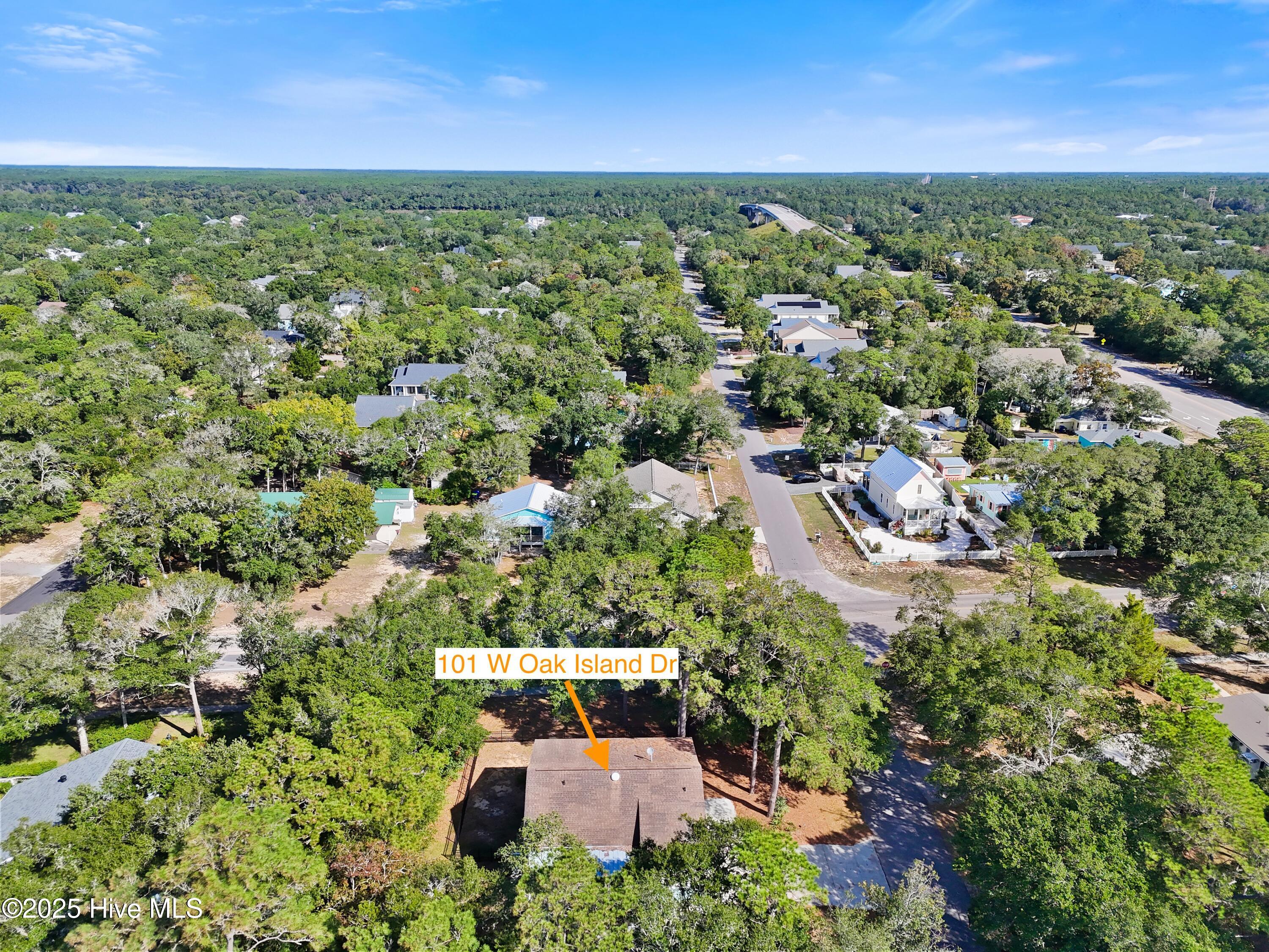 100535762 | Photo 59