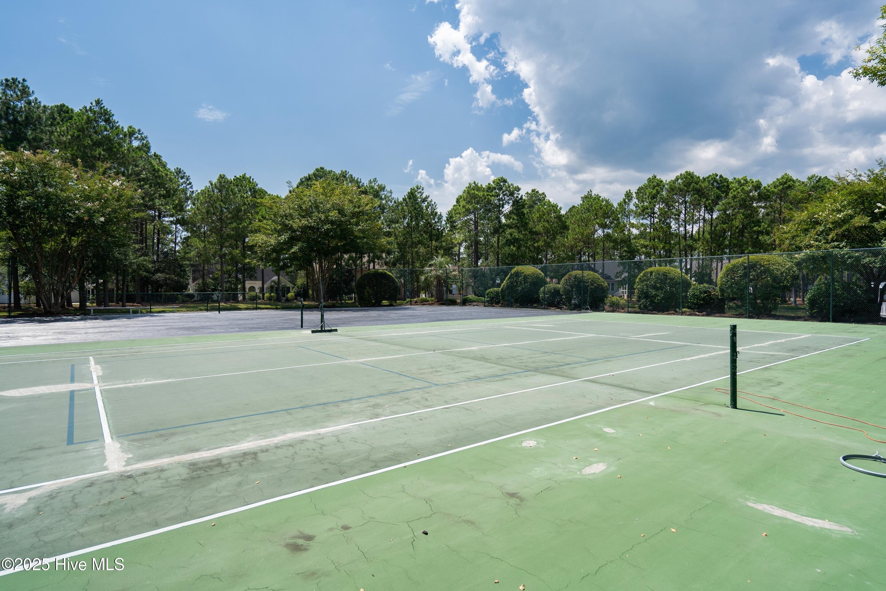 100525982 | Photo 64