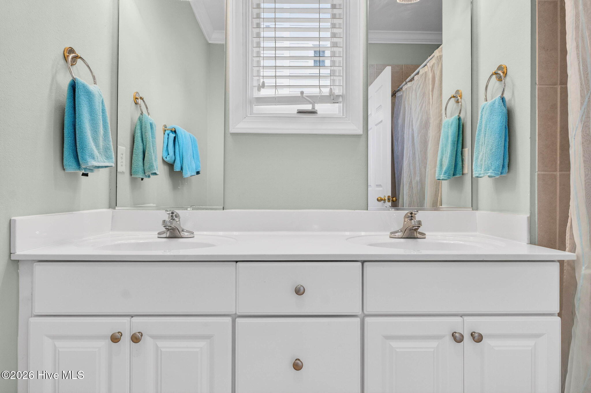 100555229 | Photo 16