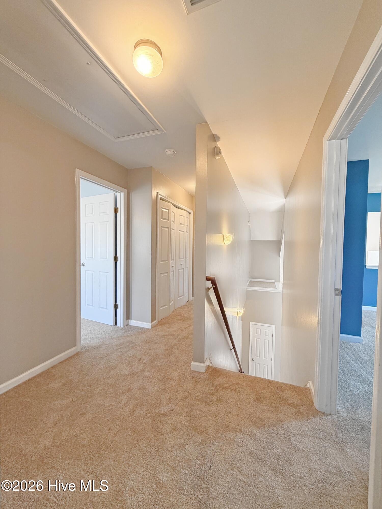 100547389 | Photo 31