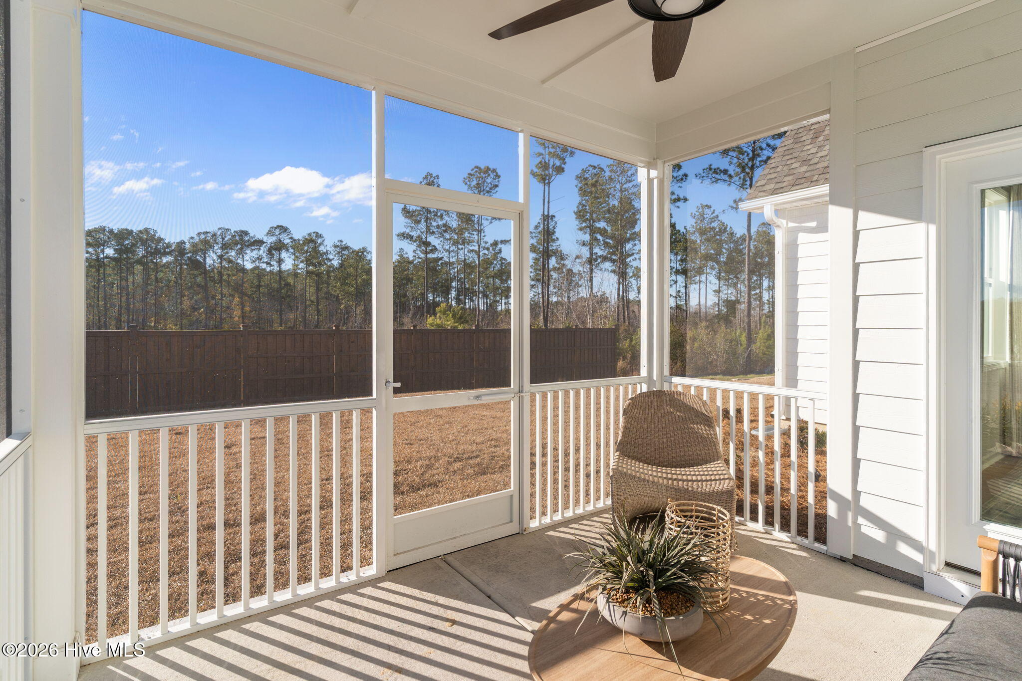 100516667 | Photo 52