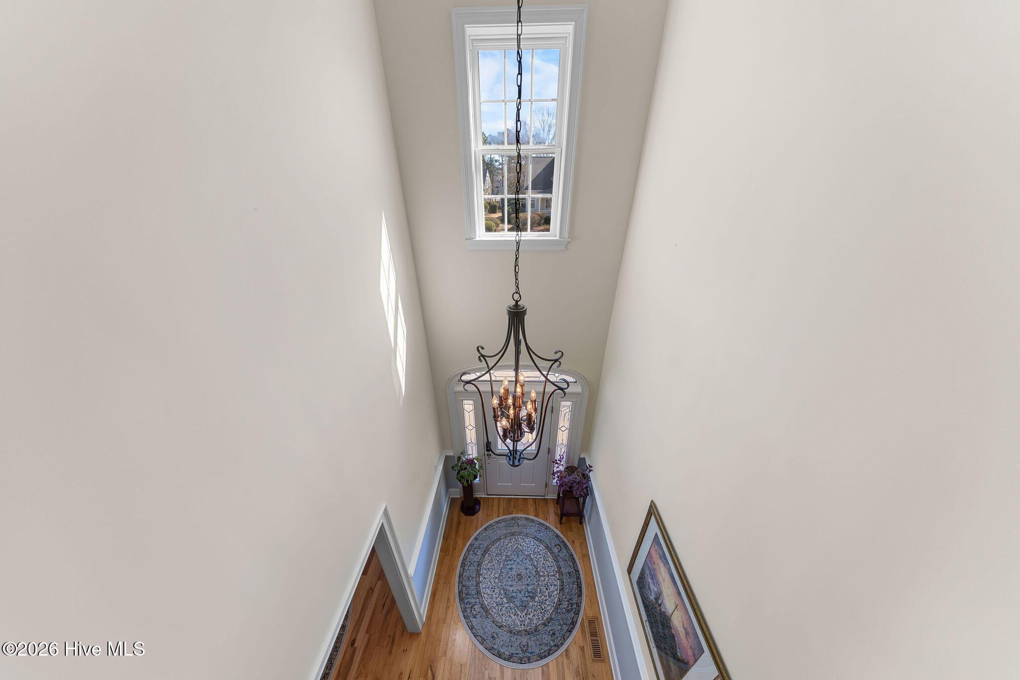 100557018 | Photo 44