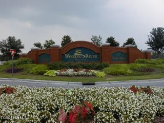 100559820 | Photo 13