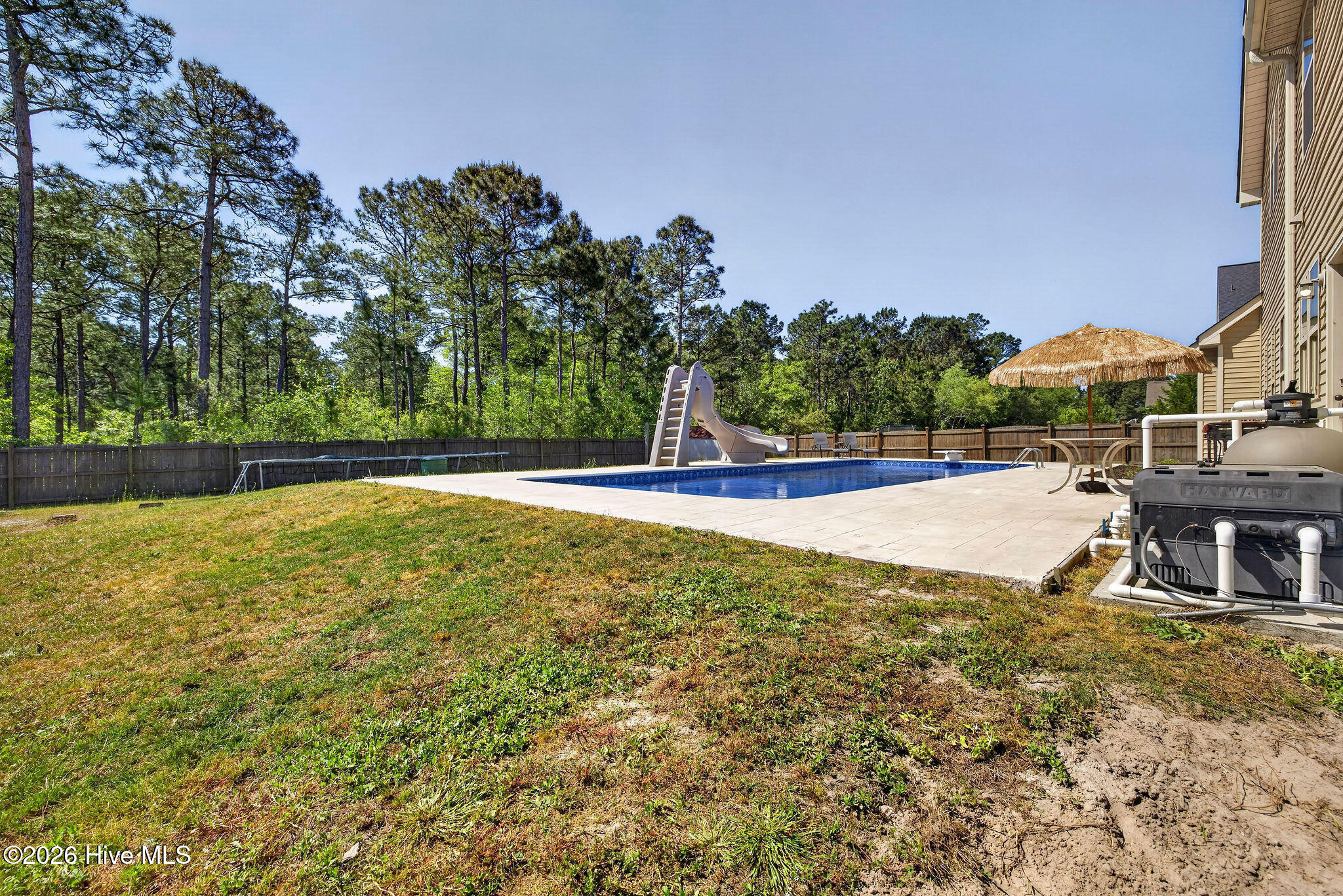 100568620 | Photo 40