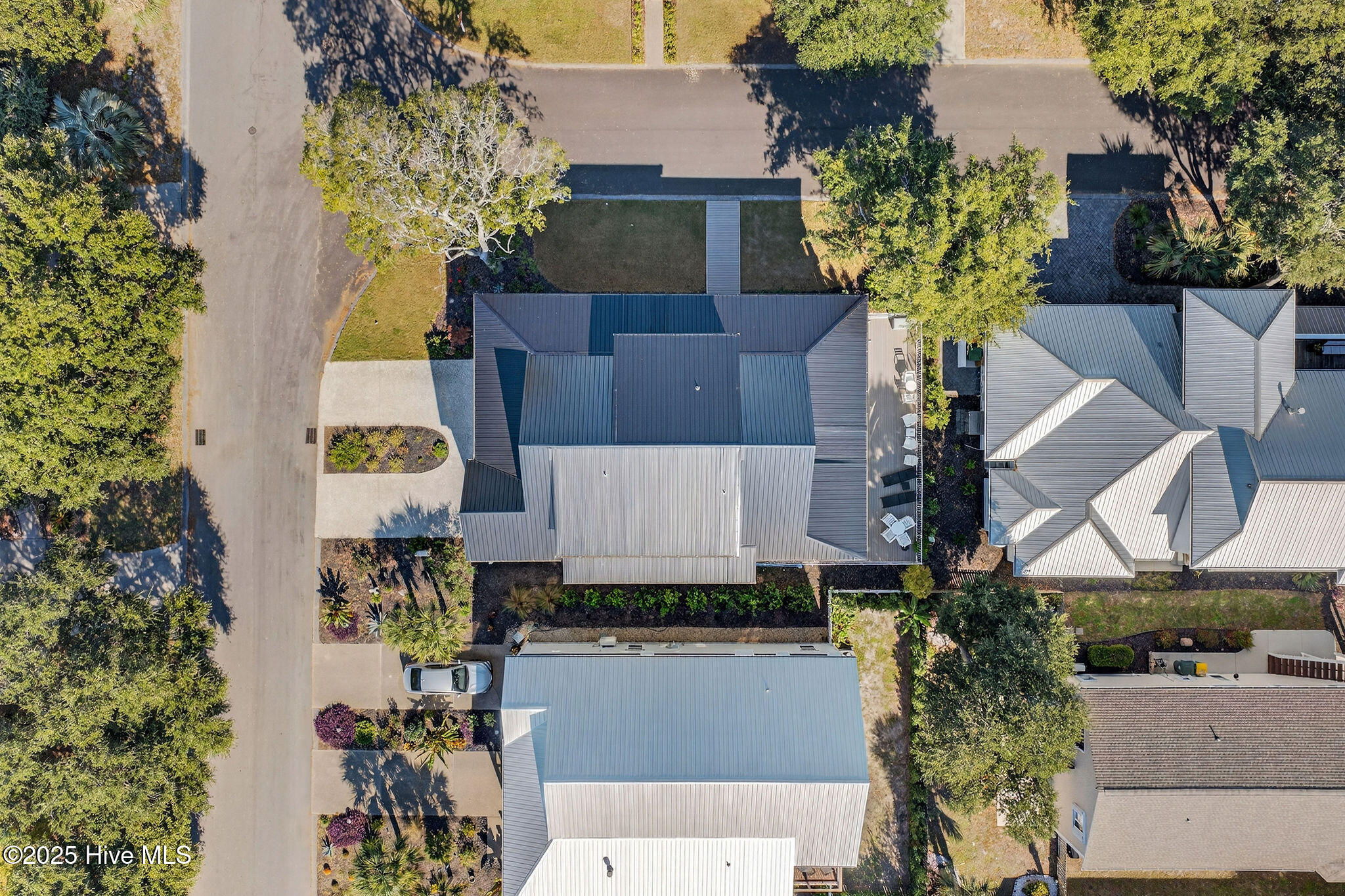 100540813 | Photo 86