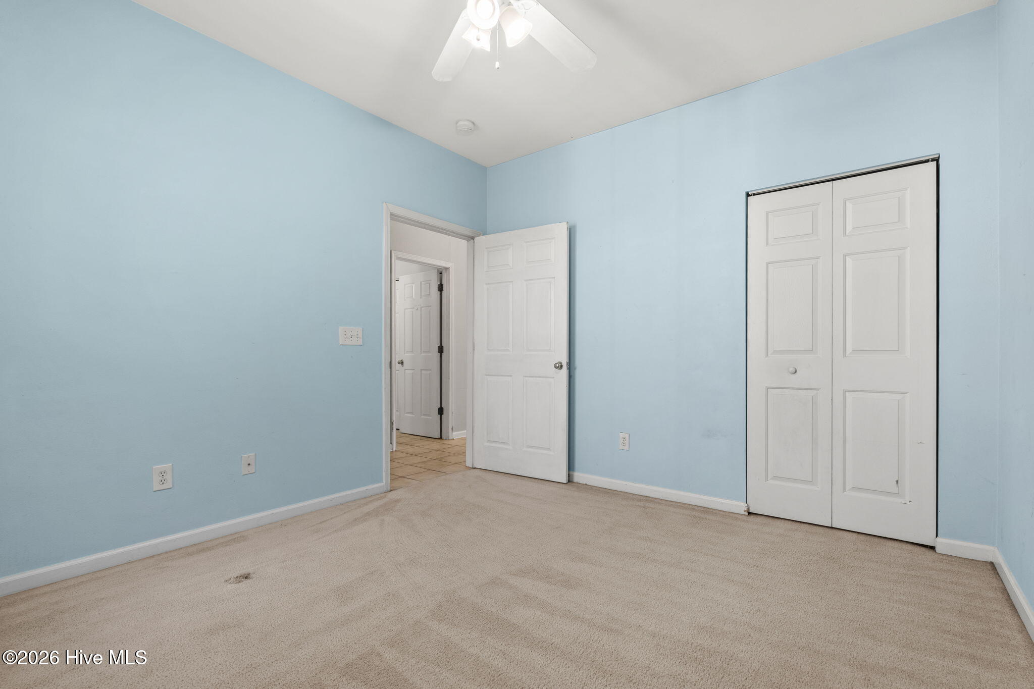 100569221 | Photo 21