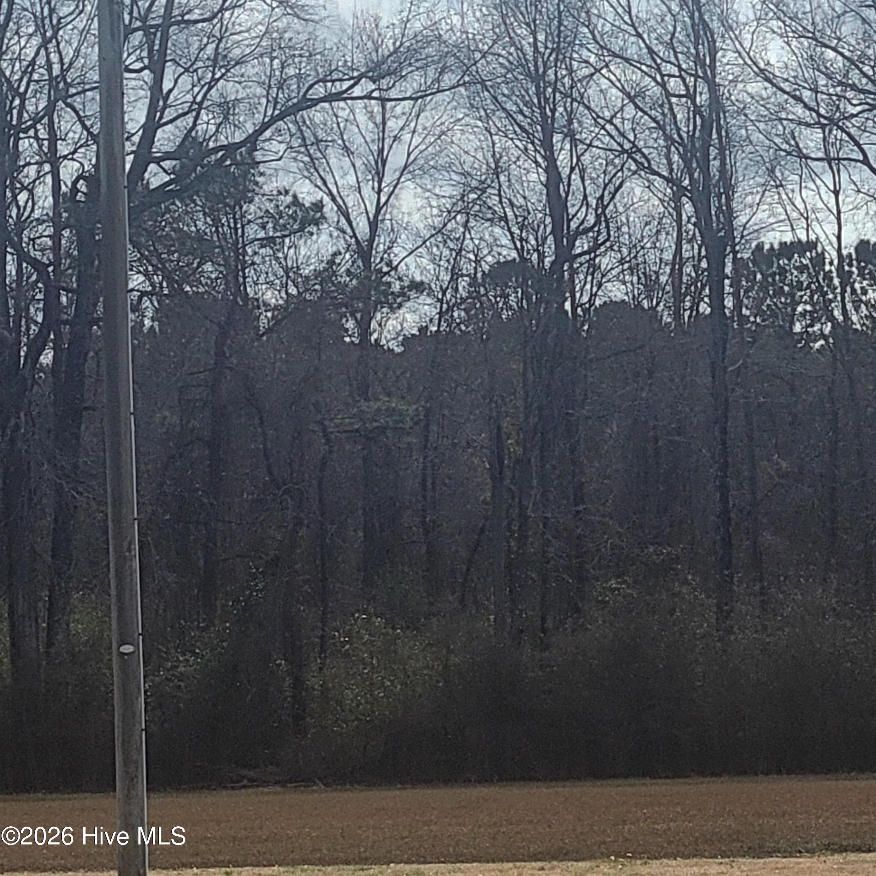 Undisclosed Address, Willard, NC, 28478