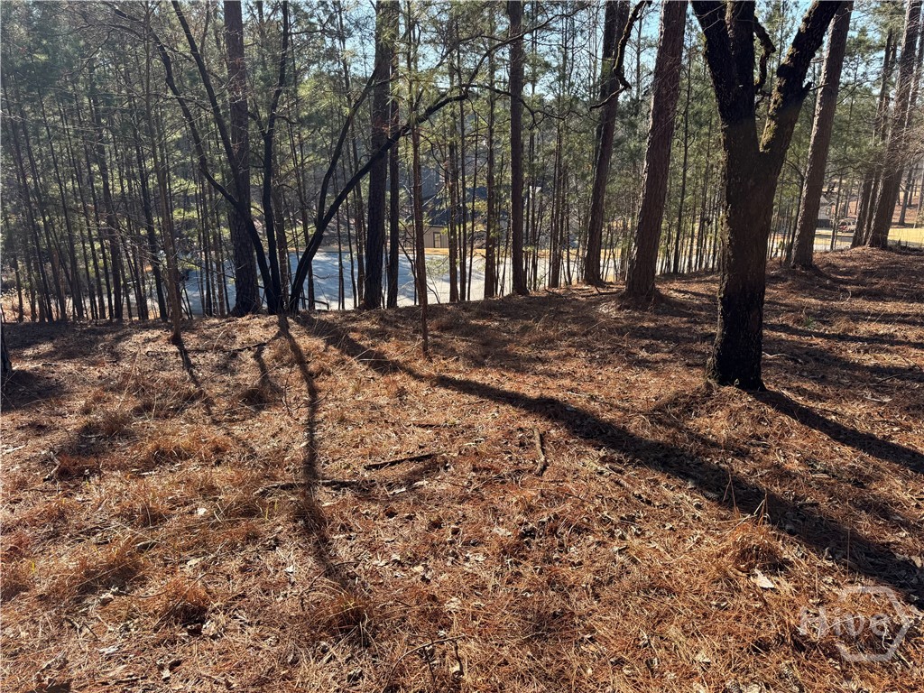 Homes for sale in Greensboro, GA | 1060 Forrest Highlands, Greensboro, GA 30642 | MLS# CL348581